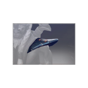 Autographed Mantle of the Stormcharge Dragoon