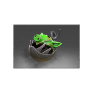 Autographed Swine Arsenal